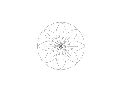 园林植物绿植园林植物模块 血桐