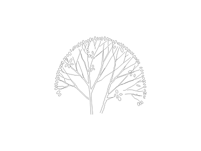 乔木种植 园林常见植物品种图例及说明
