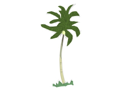 2D植物树
