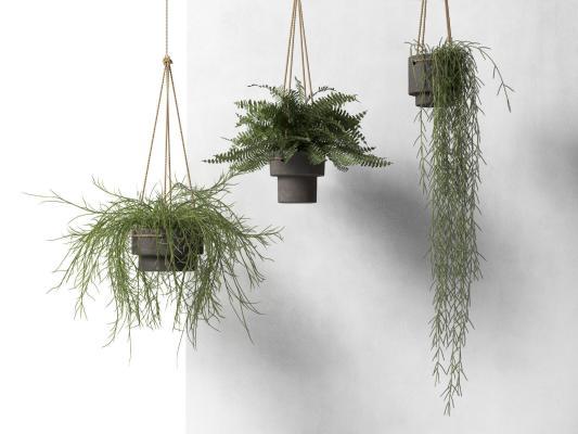 现代吊篮绿植盆栽