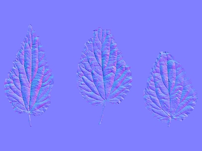 其他法线