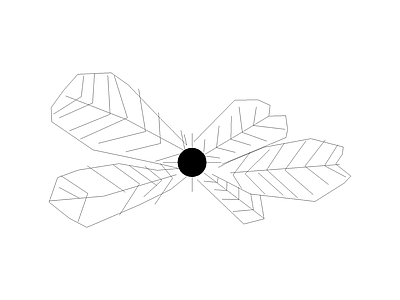 组团植物平立面图 旅人蕉小