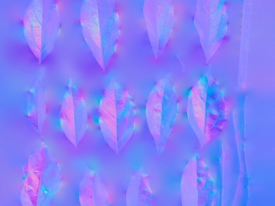 其他法线