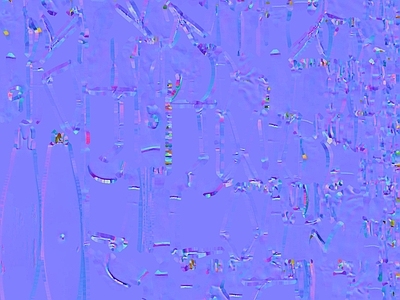 其他法线