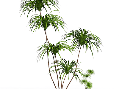 多杆绿植组合