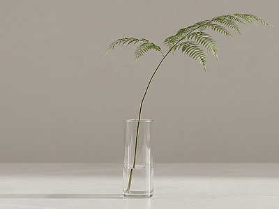 造型绿植草本植物