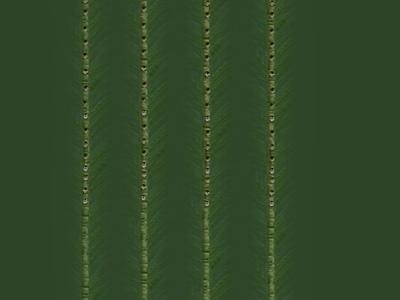 绿植墙