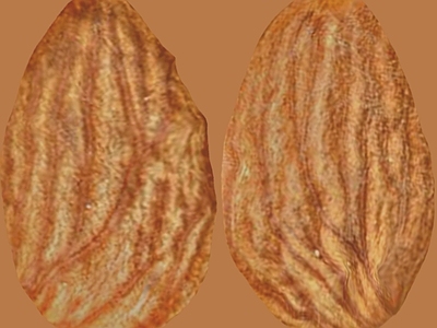 其他挂画