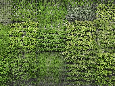 绿植墙