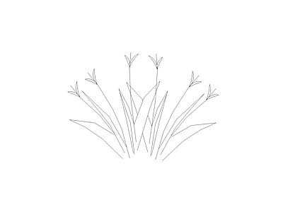花 植物图块