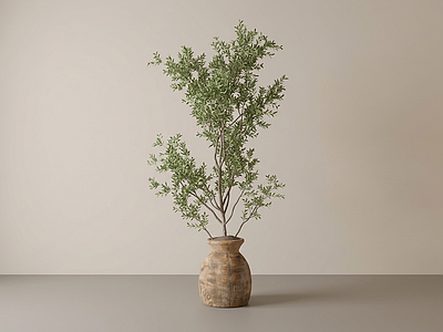 艺术绿植盆栽