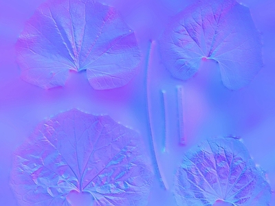 其他法线