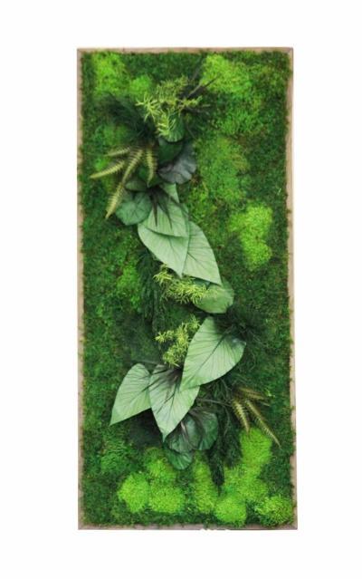 植物墙 贴图 自然元素