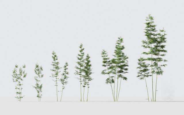 现代绿植竹子组合