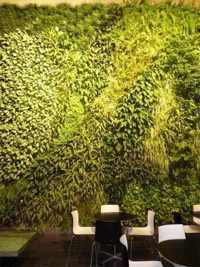 植物墙 贴图 自然元素
