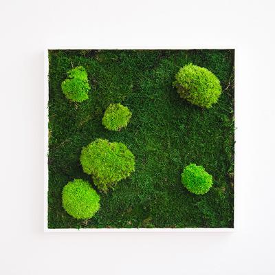 植物墙 贴图 自然元素