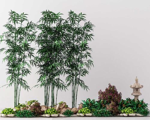 中式竹子植物