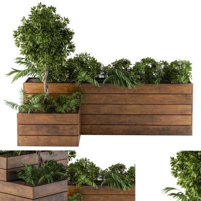 现代绿植池 户外植物 园林 广场
