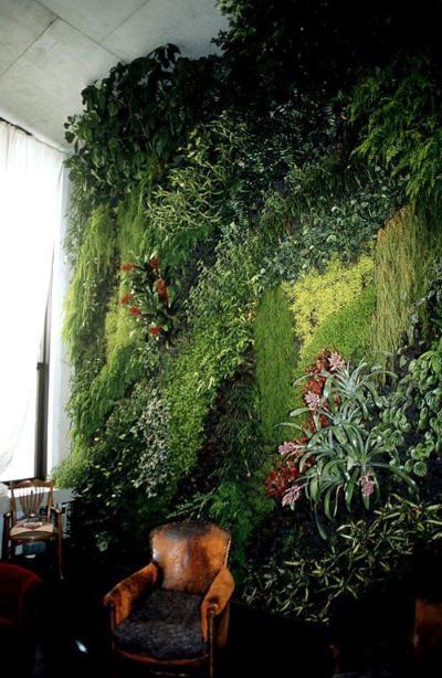 植物墙 贴图 自然元素