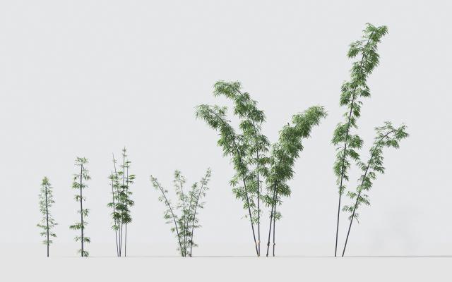 现代绿植竹子组合