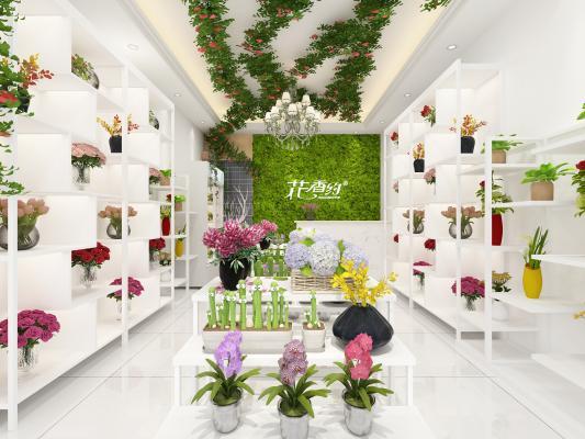 现代绿植花店