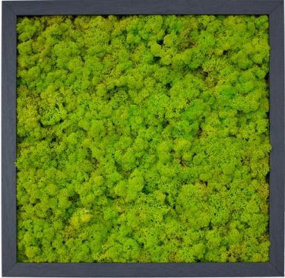 植物墙 贴图 自然元素