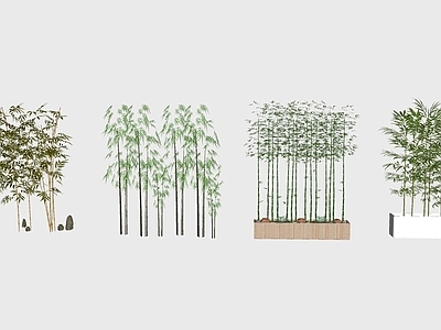现代富贵竹子假山植物盆栽小品组合