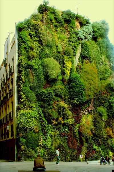 植物墙 贴图 自然元素