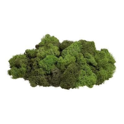 植物墙 贴图 自然元素