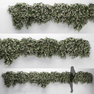 现代吊篮 墙 植物墙