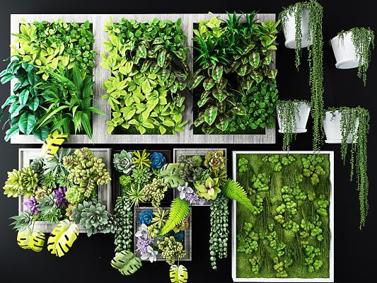 现代植物墙 墙 多肉 挂画 花草