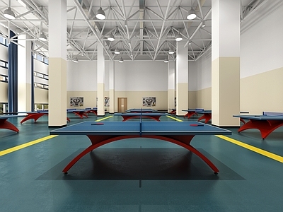 现代乒乓球馆  篮球馆