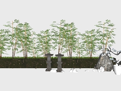 现代富贵竹子假山植物盆栽小品组合