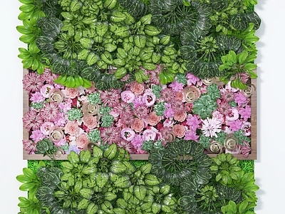 现代植物墙
