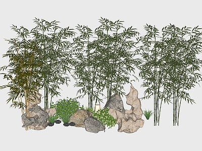 现代富贵竹子假山植物盆栽小品组合