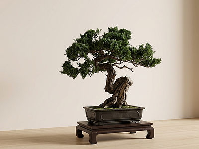 造型绿植盆栽
