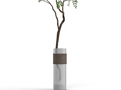 盆栽植物装饰