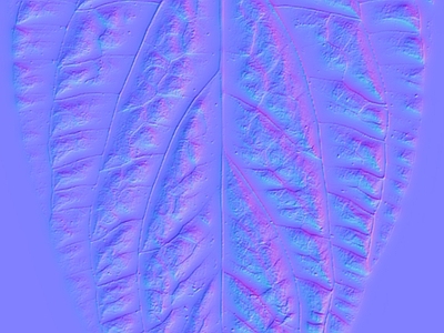 木纹凹凸