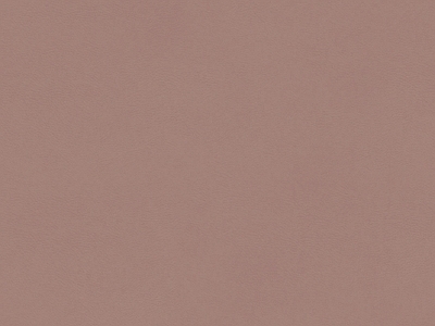 其它涂料