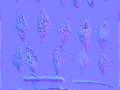 其他法线