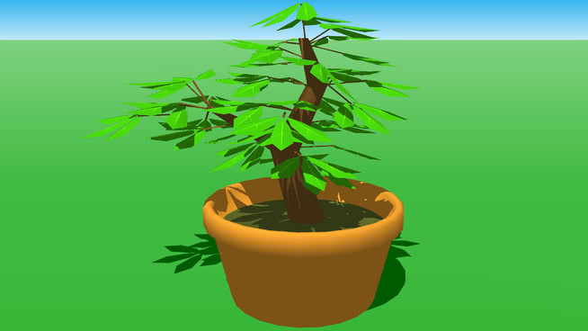 室内植物 植物 花盆 其他