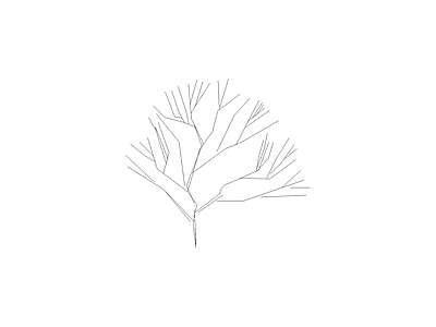 乔木种植 植物图例