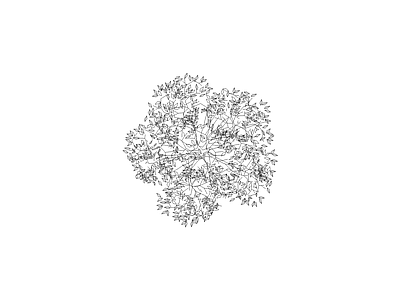 灌木种植 顶级家具图块图块