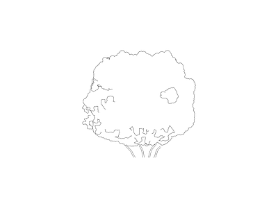 乔木种植 园林常见植物品种图例及说明