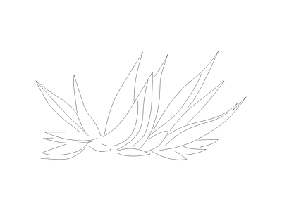 灌木种植 备用植物图例