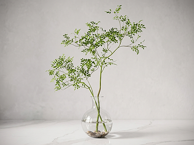 艺术绿植草本植物