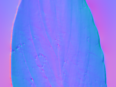 其他法线