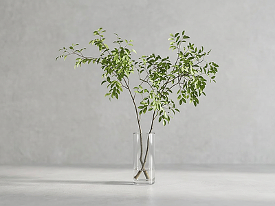 造型绿植灌木