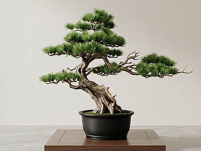 风格化盆栽绿植盆栽