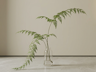 造型绿植草本植物